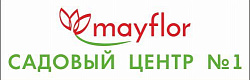 Array